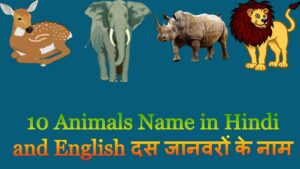 10 Animals Name in Hindi and English