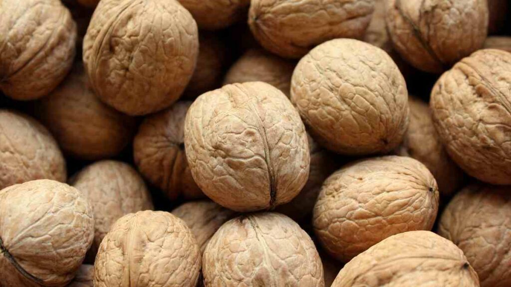 10 Dry Fruits Name - Walnut