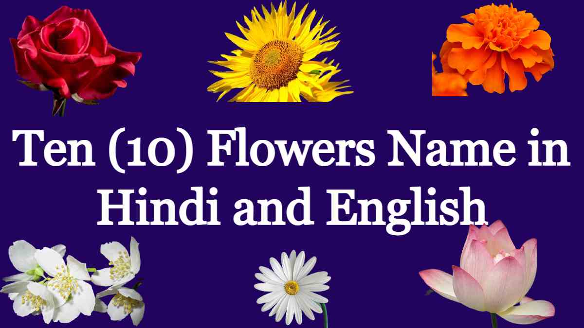 Ten (10) Flowers Name in Hindi and English