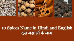 10 Spices Name in Hindi and English दस मसालों के नाम