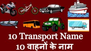10 Transport Name