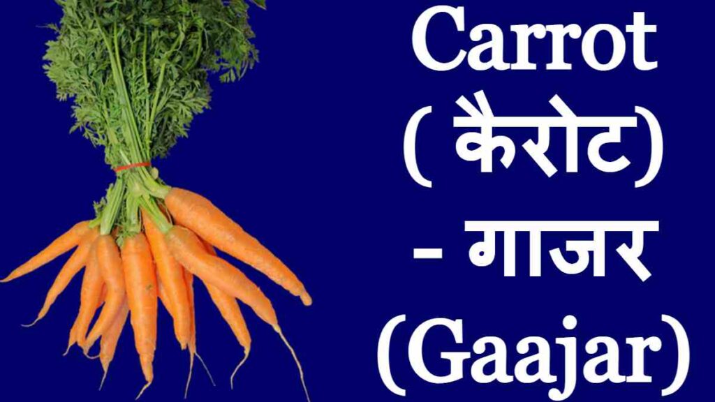 10 Vegetables Name - Carrot