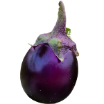 Brinjal, Eggplant