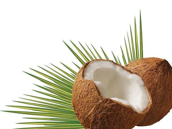 Coconut (कोकोनट) - नारियल (Nariyal)