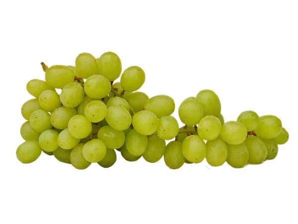 Grapes (ग्रेप्स) - अंगूर ( Angoor)