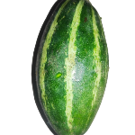 Pointed Gourd