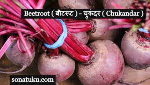 Beetroot Meaning in Hindi