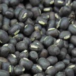 Black Gram / Urad bean