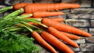 Carrot Meaning in Hindi