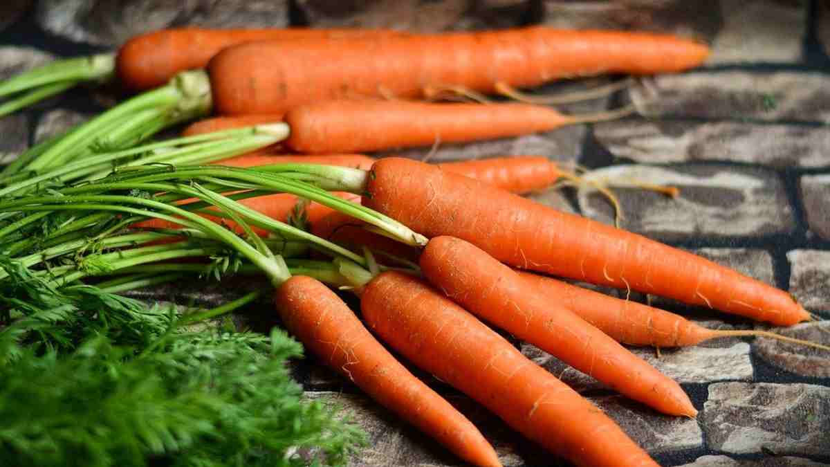 Carrot Meaning in Hindi