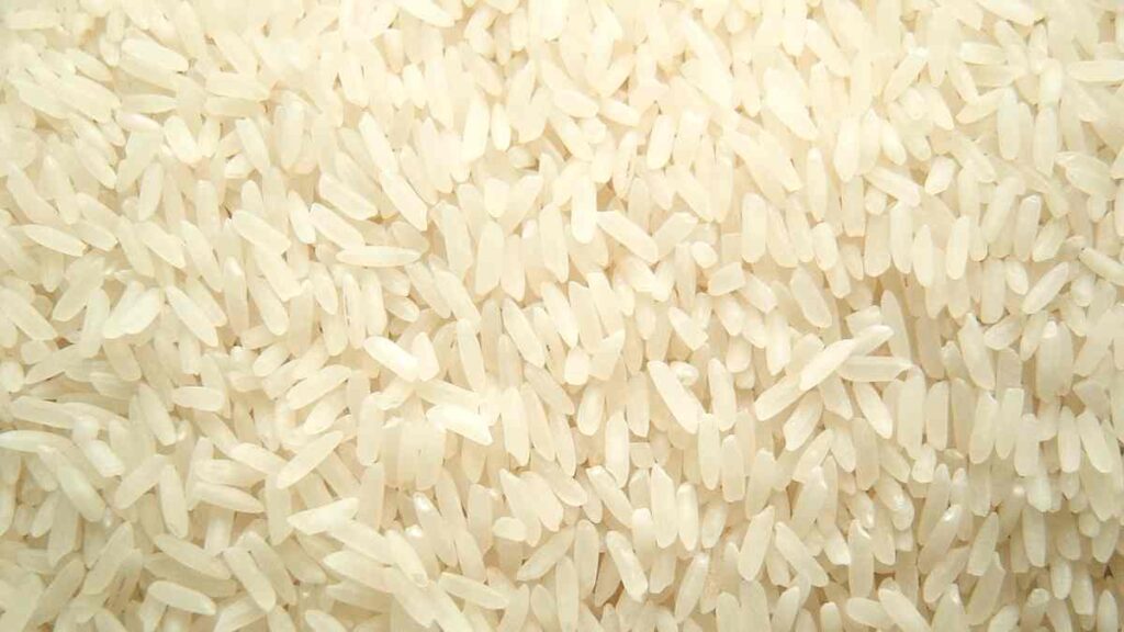 Cereals Name - Rice