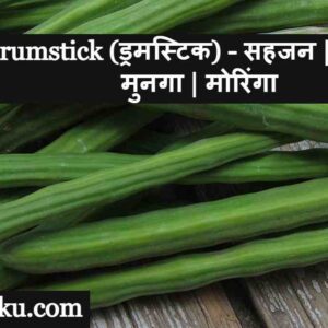 Drumstick Meaning in Hindi