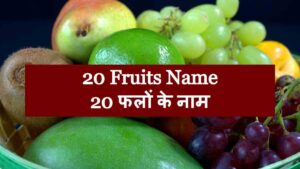 20 Fruits Name in Hindi and English