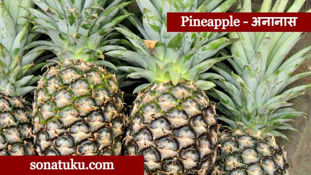 20 Fruits Name - Pineapple