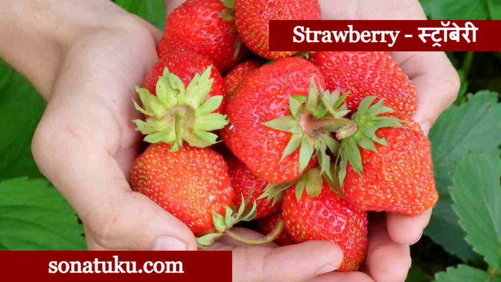 20 Fruits Name - Strawberry