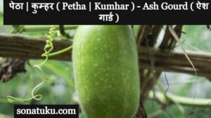 Petha Vegetable in English