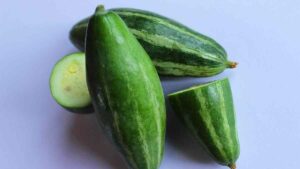 Pointed gourd meaning in Hindi