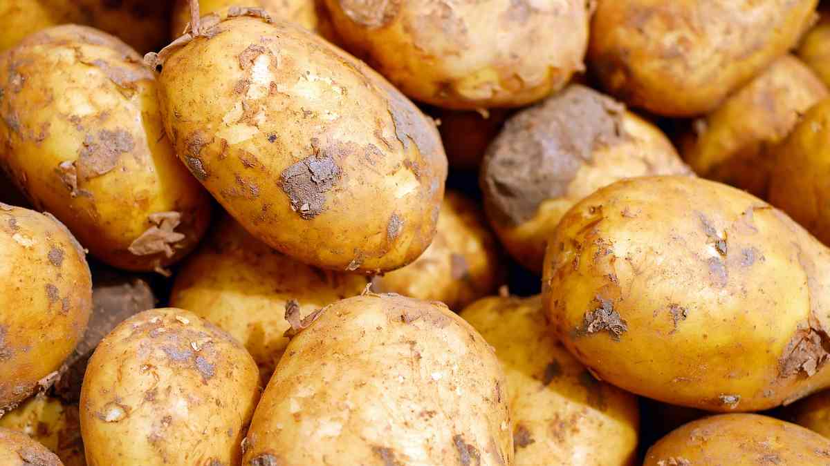 Potato Meaning in Hindi