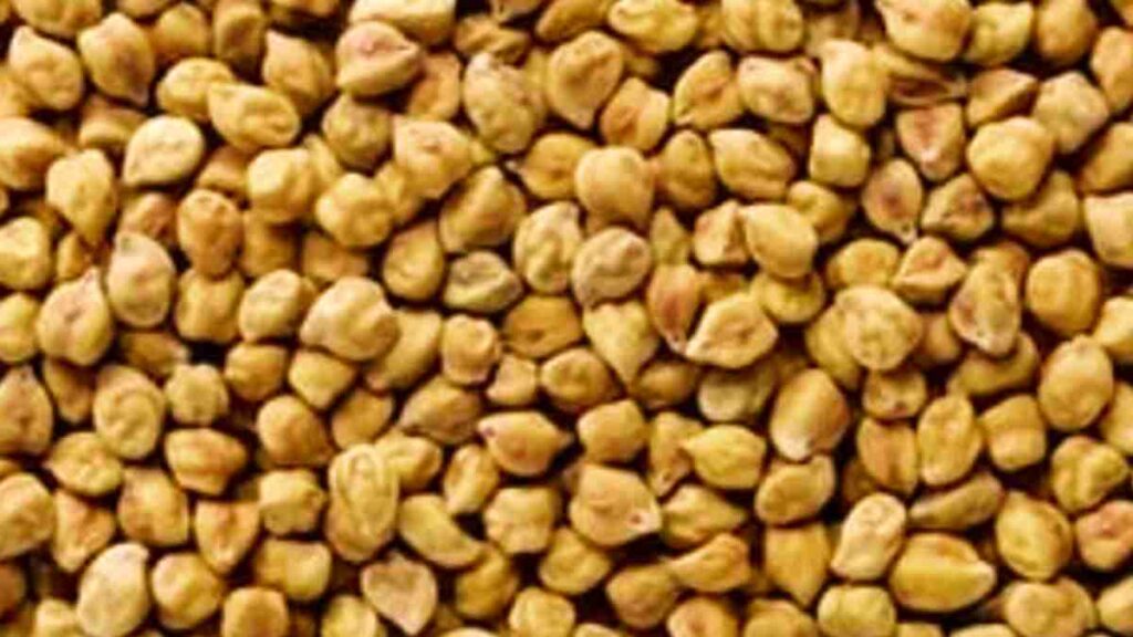 Pulses Name - Black chickpeas