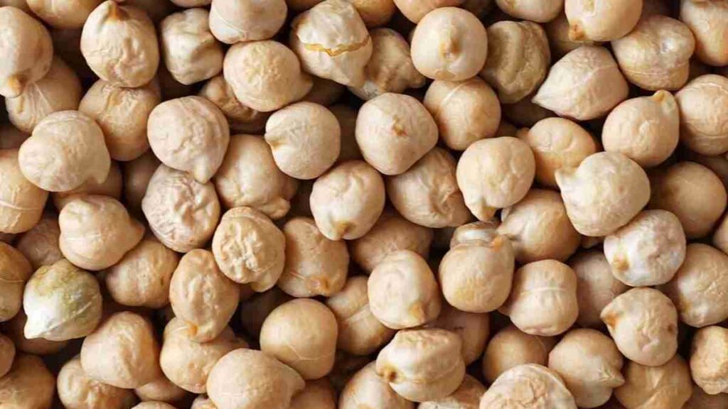 Pulses Name - Chickpeas