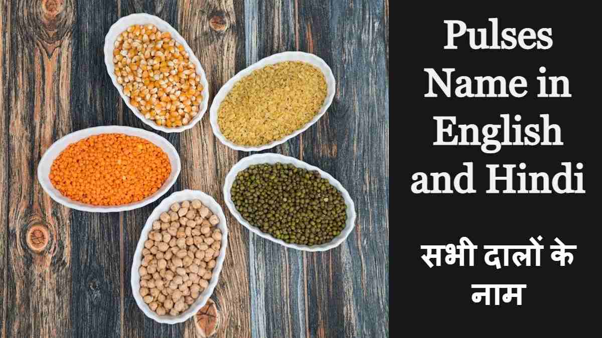 Pulses Name in English and Hindi
