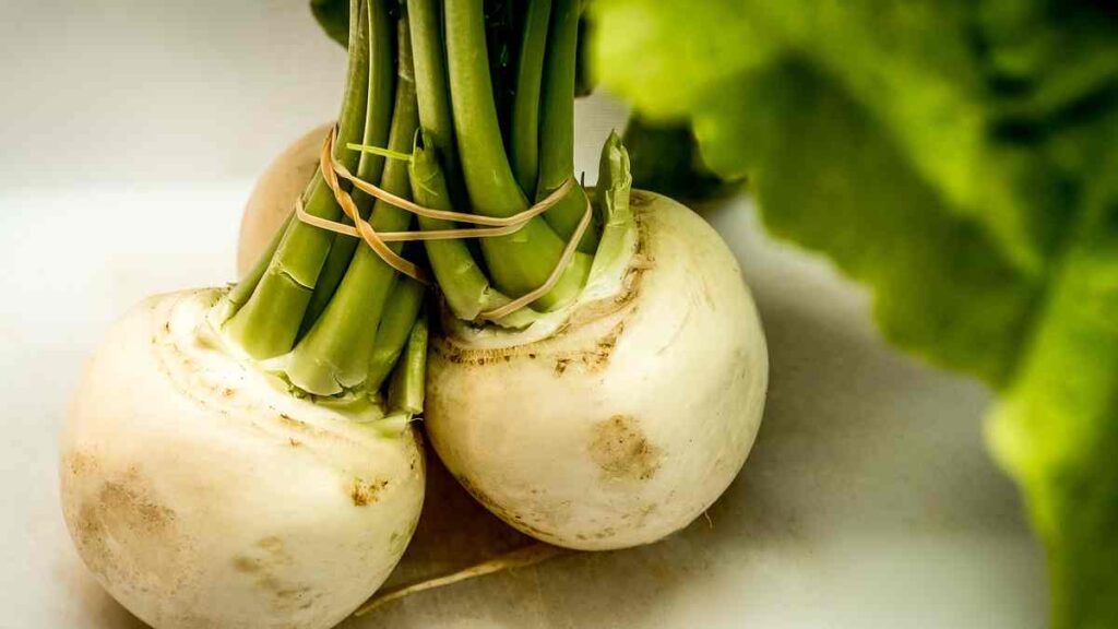 turnip-meaning-in-hindi