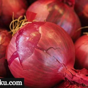 onion hindi meaning