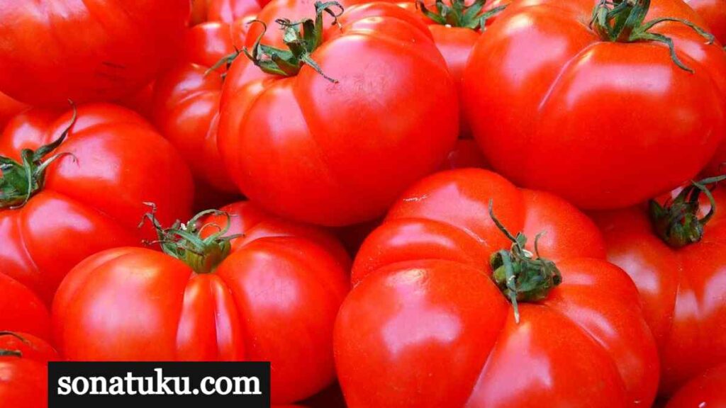 tomato meaning in hindi
