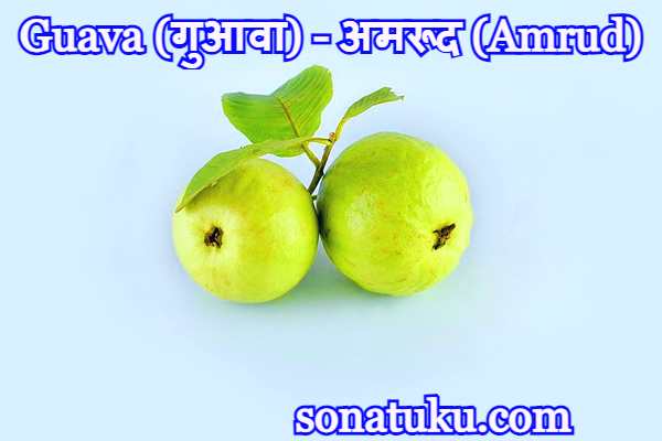 Five Fruits Name - Guava