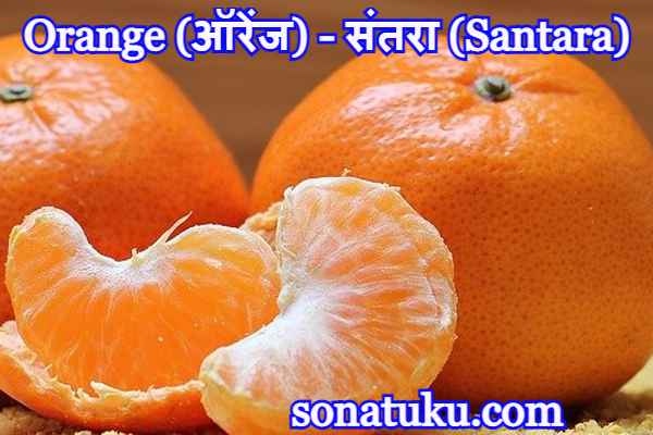 Name of Five Fruits - Orange (ऑरेंज) - संतरा (Santara)
