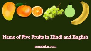 Name Five Fruits in Hindi / English