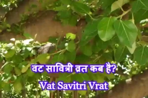 Vat Savitri