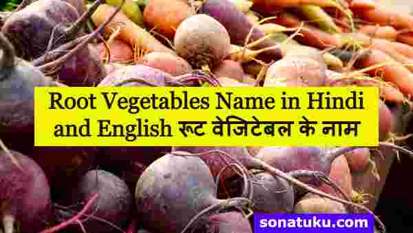 Root Vegetables Name in Hindi and English