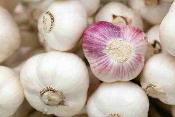 garlic meaning in hindi
