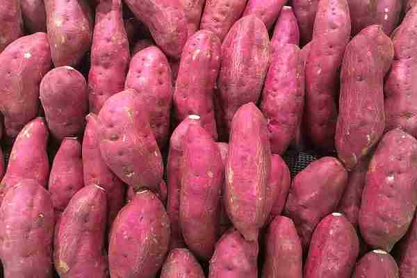 sweet potato meaning in hindi